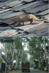 Snip 1241.JPG Snip 1241.JPG