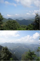 Snip 1263.JPG Snip 1263.JPG