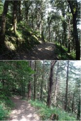 Snip 1264.JPG Snip 1264.JPG