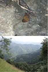 Snip 1265.JPG Snip 1265.JPG