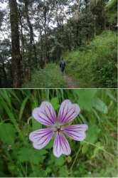 Snip 1266.JPG Snip 1266.JPG