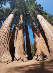 1579055697377.png 1579055697377.png