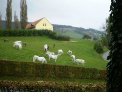 PA090819.JPG PA090819.JPG