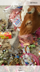 Screenshot_20200115-162814.png Screenshot_20200115-162814.png