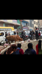 Screenshot_20200115-162845.png Screenshot_20200115-162845.png