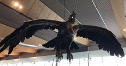 AF4E064B-267A-440E-A937-BE43A3BF9A77.jpeg AF4E064B-267A-440E-A937-BE43A3BF9A77.jpeg