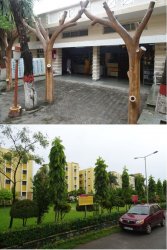 Snip 1287.JPG Snip 1287.JPG