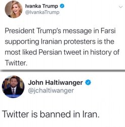 IMG_7369.jpg IMG_7369.jpg