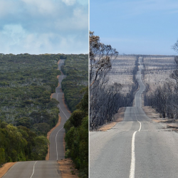 1579345229810.png 1579345229810.png