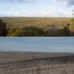 1579345256335.png 1579345256335.png