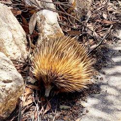 1579345321537.png 1579345321537.png