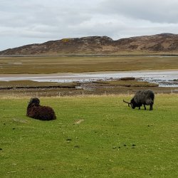2019-04-20 13.00.25.jpg 2019-04-20 13.00.25.jpg
