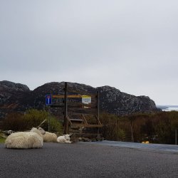 2019-04-21 09.10.44.jpg 2019-04-21 09.10.44.jpg