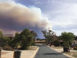 D17389B1-C599-438B-AC06-76950426D06A.jpeg D17389B1-C599-438B-AC06-76950426D06A.jpeg