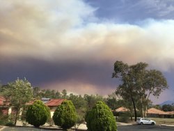 78466C08-E562-42EA-873F-C25BD81FB96D.jpeg 78466C08-E562-42EA-873F-C25BD81FB96D.jpeg