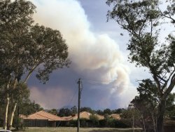 99BC632A-5312-48BC-B104-12C0C2ACE794.jpeg 99BC632A-5312-48BC-B104-12C0C2ACE794.jpeg