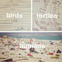 IMG_0299.JPG IMG_0299.JPG