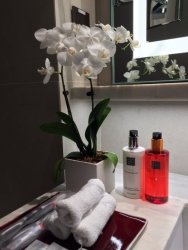 shower.JPG shower.JPG