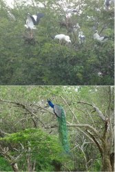 Snip 1607.JPG Snip 1607.JPG