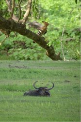 Snip 1609.JPG Snip 1609.JPG