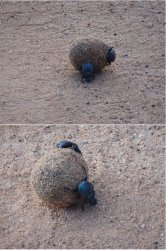 Snip 1611.JPG Snip 1611.JPG