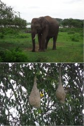 Snip 1612.JPG Snip 1612.JPG