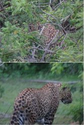 Snip 1614.JPG Snip 1614.JPG