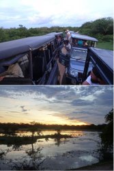 Snip 1615.JPG Snip 1615.JPG