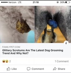 19B89B9D-64D7-451A-9E70-F8189361591F.jpeg 19B89B9D-64D7-451A-9E70-F8189361591F.jpeg