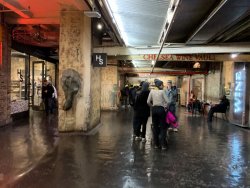 IMG_9823.jpg IMG_9823.jpg