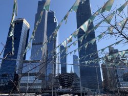 IMG_9841.jpg IMG_9841.jpg