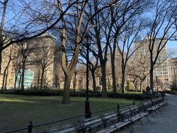 IMG_9894.jpg IMG_9894.jpg