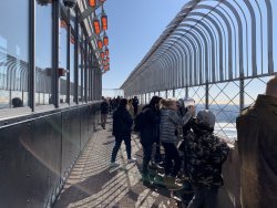 IMG_9924.jpg IMG_9924.jpg