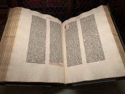 IMG_9974.jpg IMG_9974.jpg