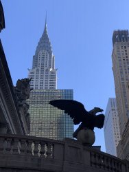 IMG_0001.jpg IMG_0001.jpg