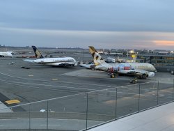 21784407-1A8D-4D7B-B5BC-0E43C6E68408.jpeg 21784407-1A8D-4D7B-B5BC-0E43C6E68408.jpeg