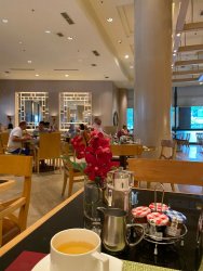 27A3BAD8-B6EE-4F4E-8828-DD465AFEAA2B.jpeg 27A3BAD8-B6EE-4F4E-8828-DD465AFEAA2B.jpeg