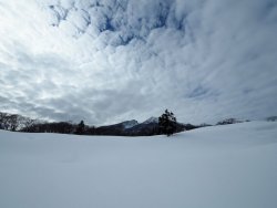 P2124822 (2).JPG P2124822 (2).JPG