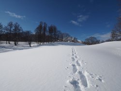 P2124835.JPG P2124835.JPG