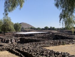 IMG_0558.jpg IMG_0558.jpg