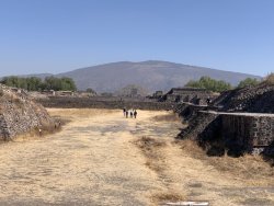 IMG_0567.jpg IMG_0567.jpg