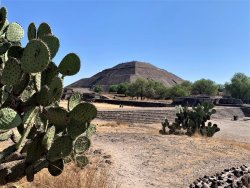 IMG_0568.jpg IMG_0568.jpg