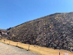 IMG_0574.jpg IMG_0574.jpg