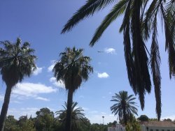 82414CCC-B20E-4681-9EE1-AE18DE13E91E.jpeg 82414CCC-B20E-4681-9EE1-AE18DE13E91E.jpeg