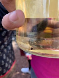 IMG_0618.jpg IMG_0618.jpg