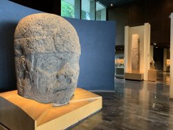 IMG_0729.jpg IMG_0729.jpg