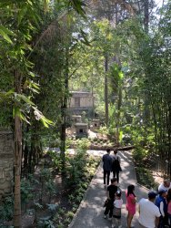 IMG_0731.jpg IMG_0731.jpg