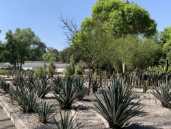 IMG_0756.jpg IMG_0756.jpg