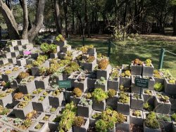 IMG_0758.jpg IMG_0758.jpg