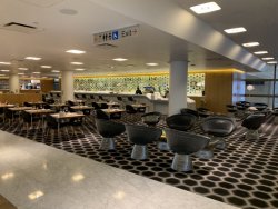 6430488B-5976-4E4F-821A-091509A4D173.jpeg 6430488B-5976-4E4F-821A-091509A4D173.jpeg